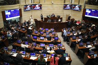 Armando Benedetti lo formalizó.